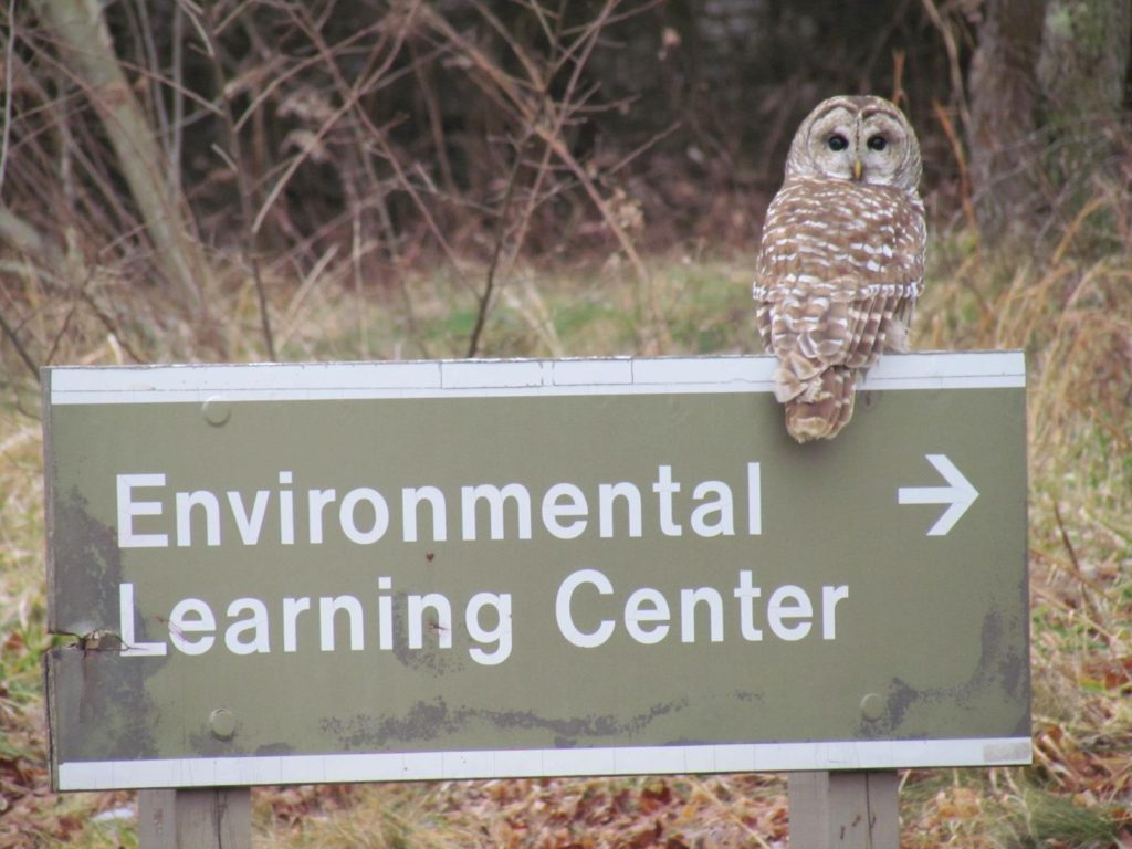 461295_10150627401386629_1097078498_o Armstrong Center for Community